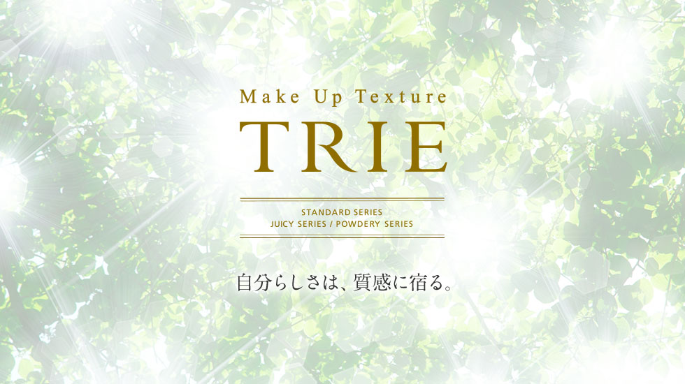 Make Up Texture TRIE 炵́AɏhB