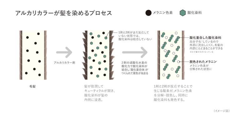 カラーの科学～アルカリカラー編～