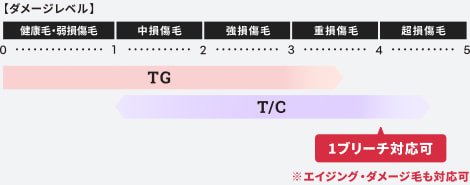 ダメージレベルの図