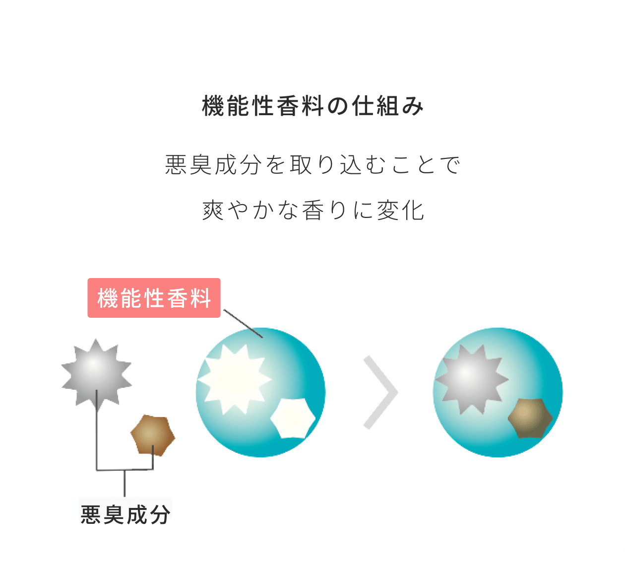 機能性香料の仕組み 悪臭成分を取り込むことで爽やかな香りに変化