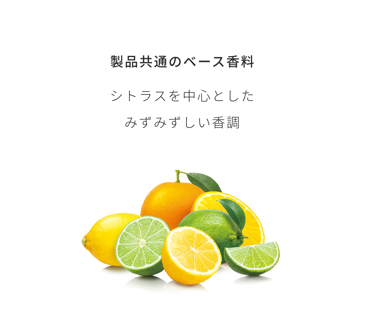 製品共通のベース香料 シトラスを中心としたみずみずしい香調