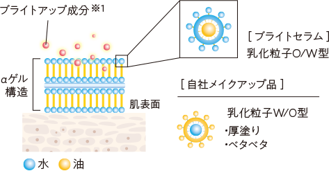 ブライトアップ成分※1 αゲル構造 [ブライトセラム]乳化粒子O/W型 [自社メイクアップ品] 乳化粒子W/O型 ・厚塗り・ベタベタ