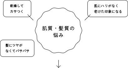 [肌質・髪質の悩み]・乾燥してカサつく・髪にツヤがなくてパサパサ・肌にハリがなく老けた印象になる