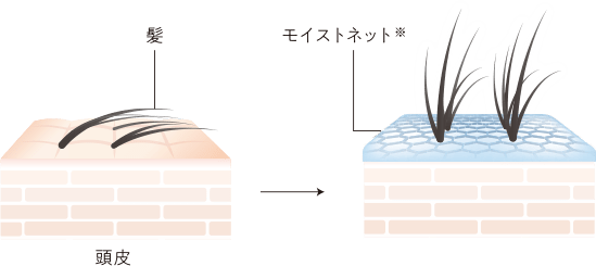 [頭皮]髪 モイストネット※